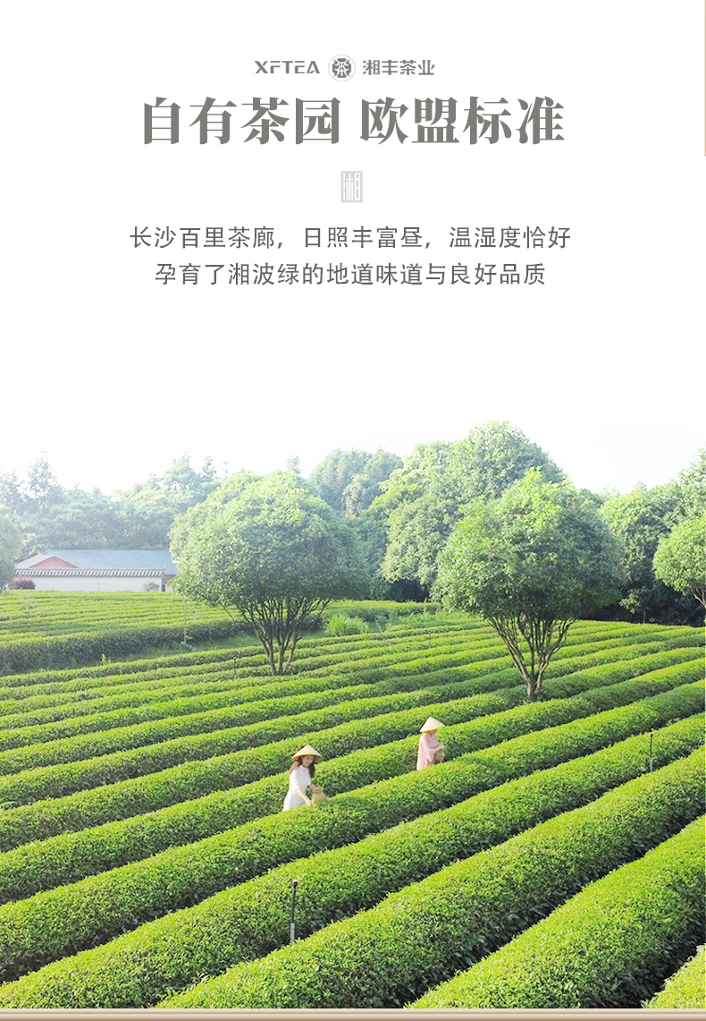 沨50ëҳ_03.jpg